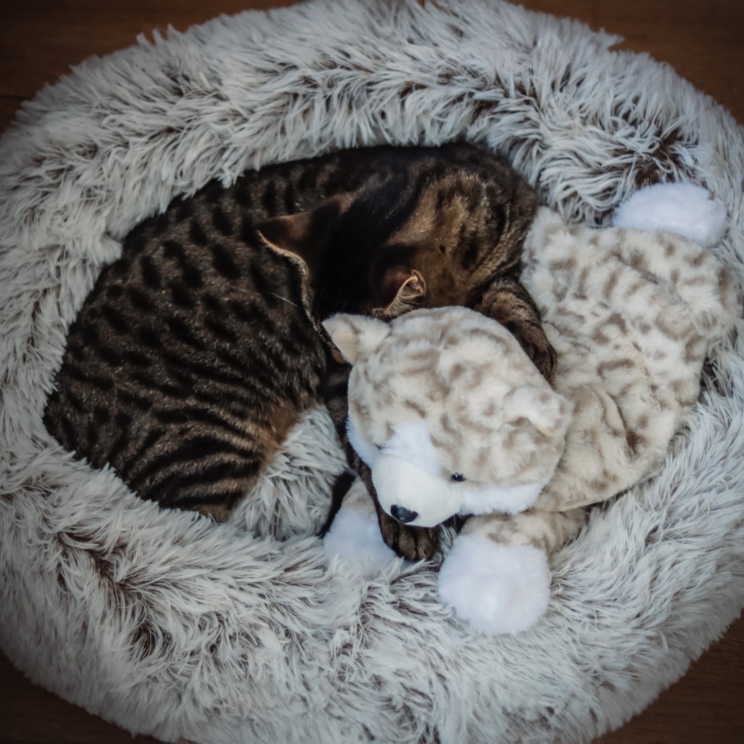 Pet Fit For Life Heartbeat Plush Cat Toy with Heat for Calming Anxiety
