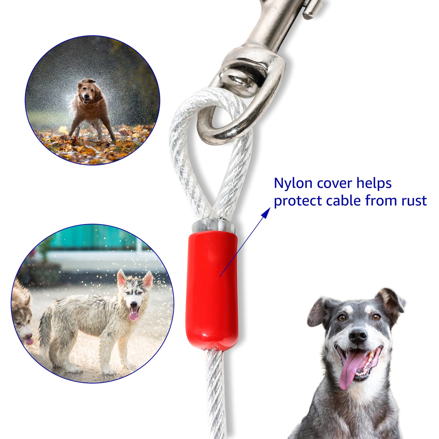 30 Foot Heavy Duty Tie-Out Cable