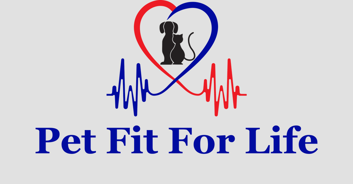 Pets Supplies Cat Toys & Dog Products Online Pet Fit For Life