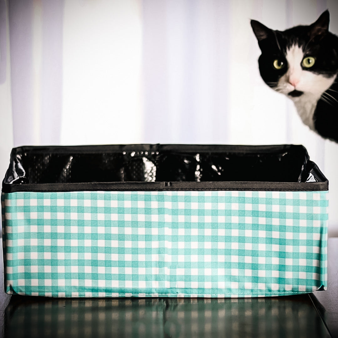Cat Portable Litter Box - Teal