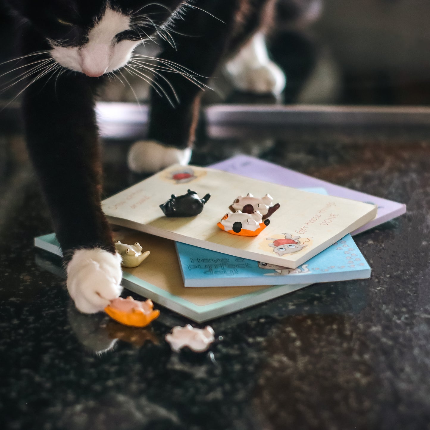 Cat Themed Notepads with Refrigerator Magnets Gift