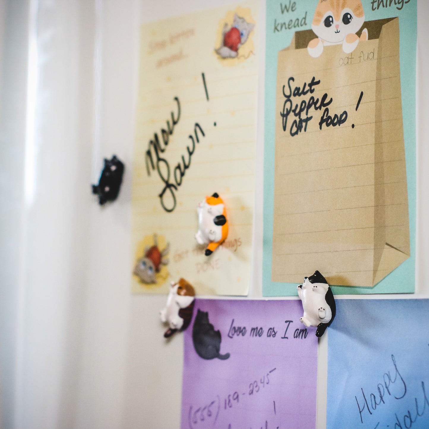 Cat Themed Notepads with Refrigerator Magnets Gift