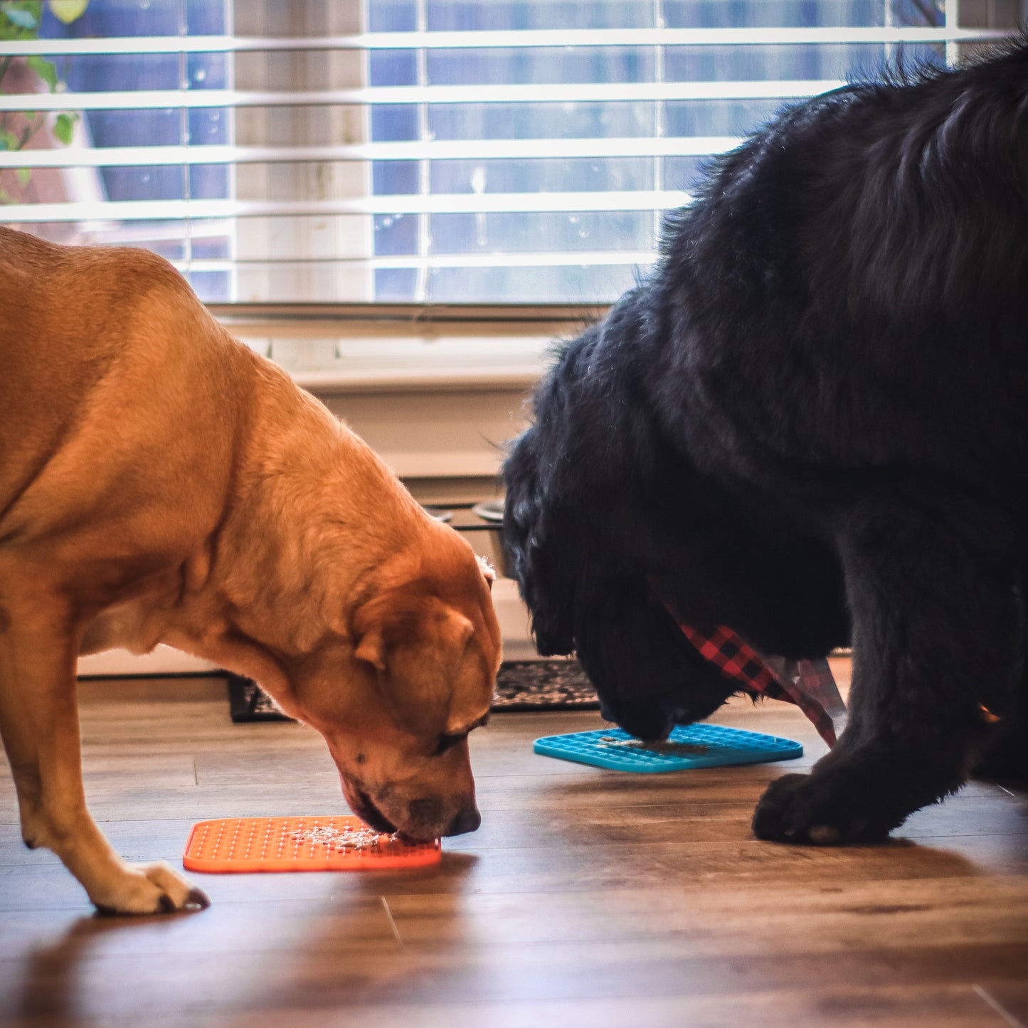 Pet Slow Feeding Lick-mat 2 Pack