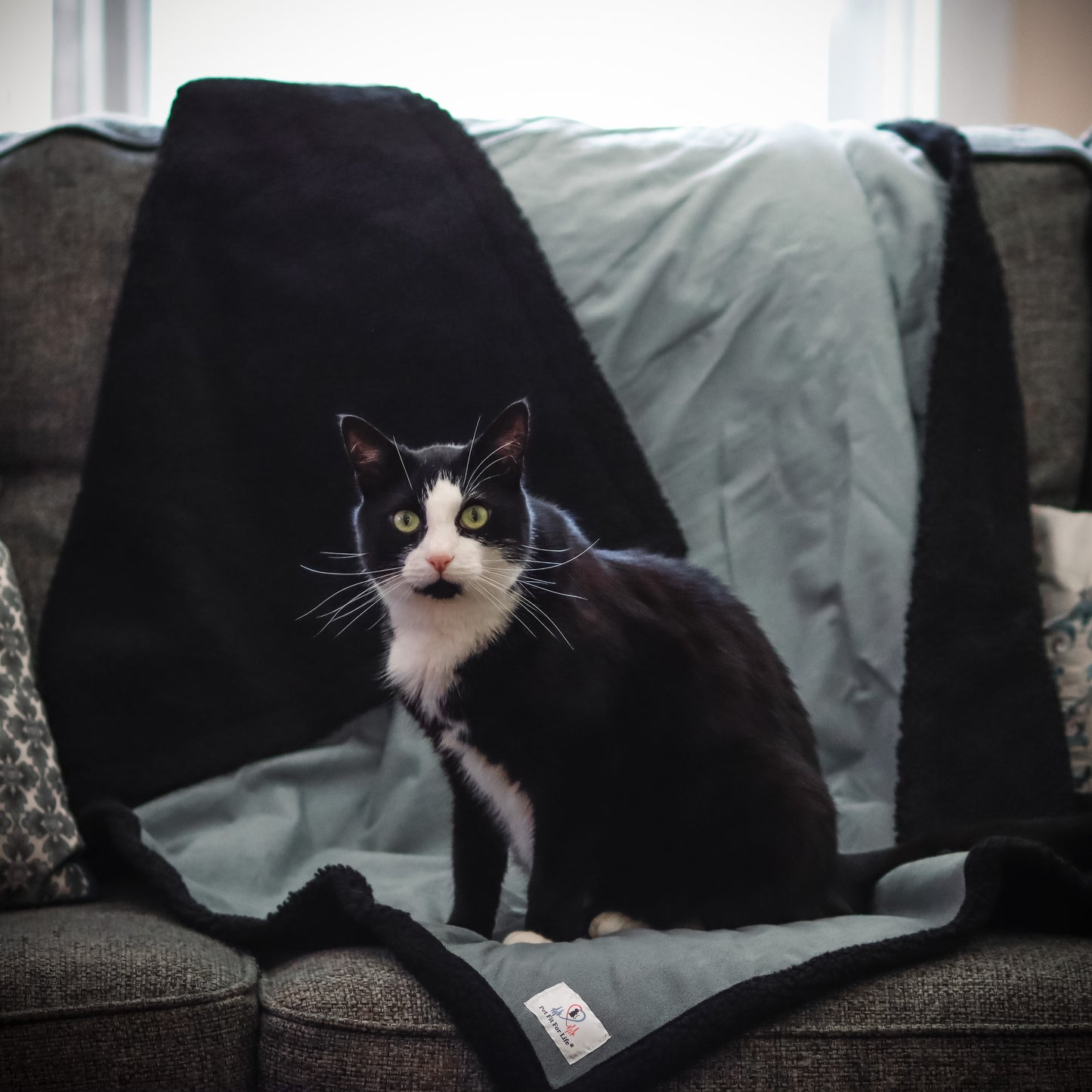 Waterproof Pet Blanket, Dog/Cat Furniture Mess Protector