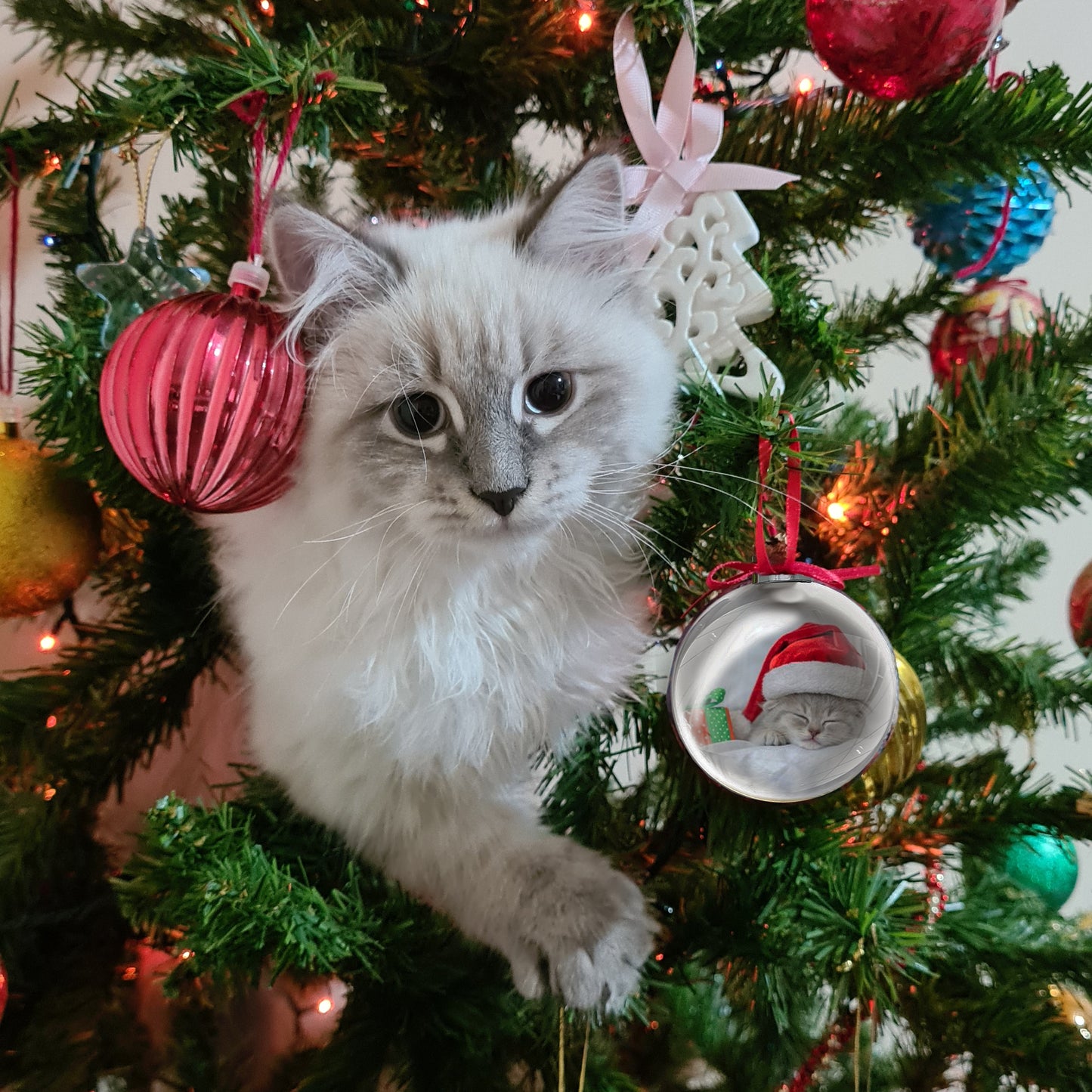 Cat Christmas Embroidered Stocking and DIY Picture Ornament