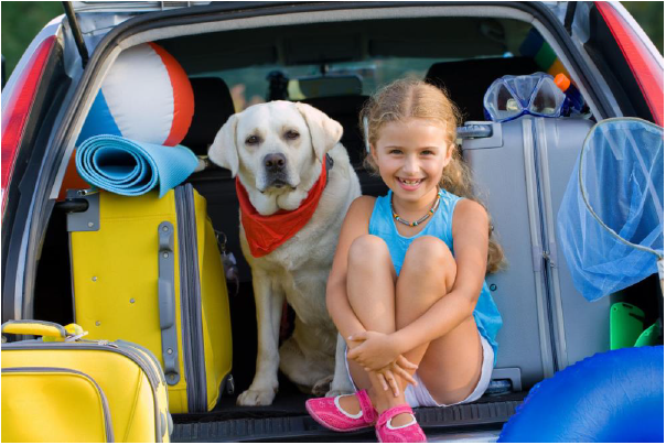 Take Me Please! Traveling with your Pet is Practical and Fun!