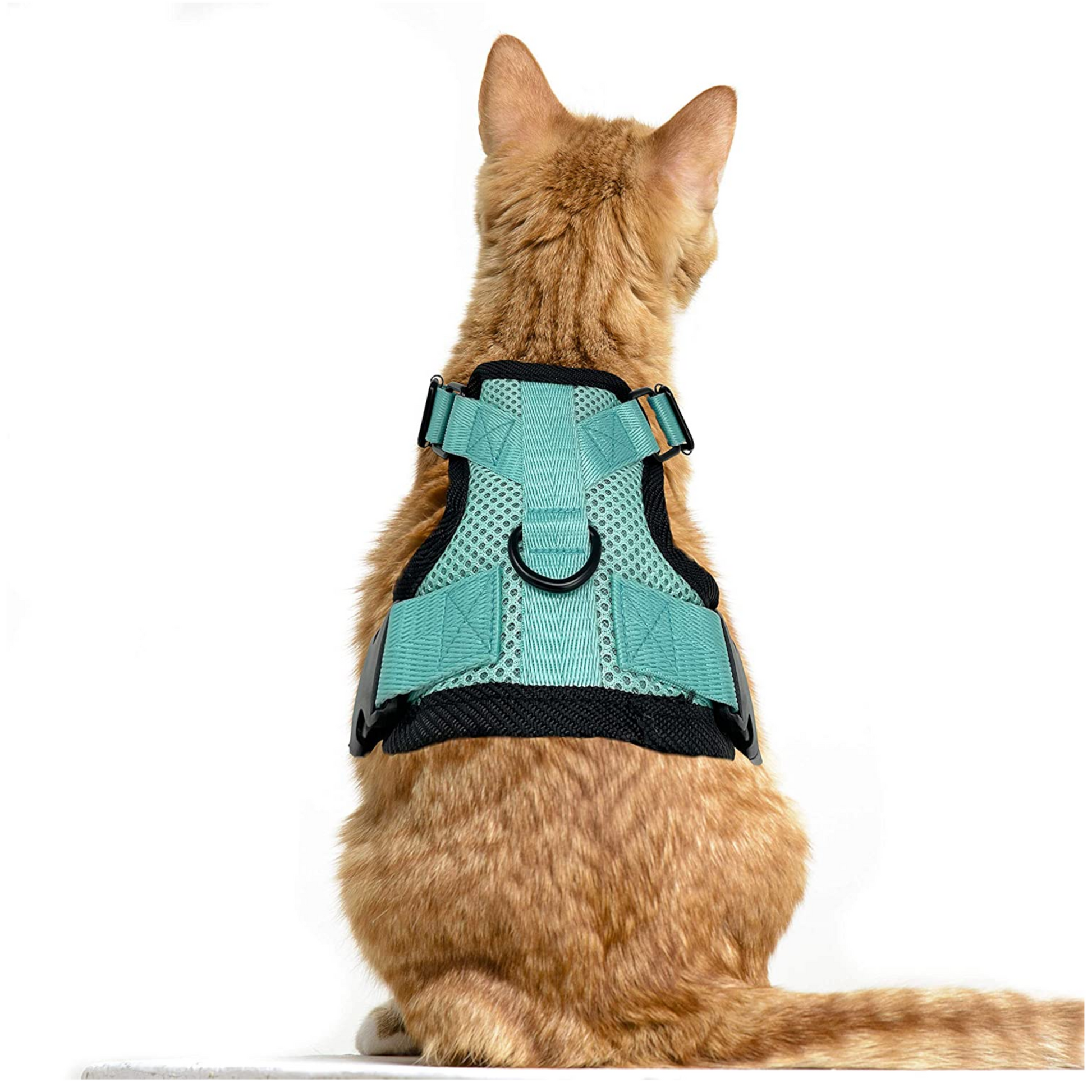 Adjustable sales cat harness