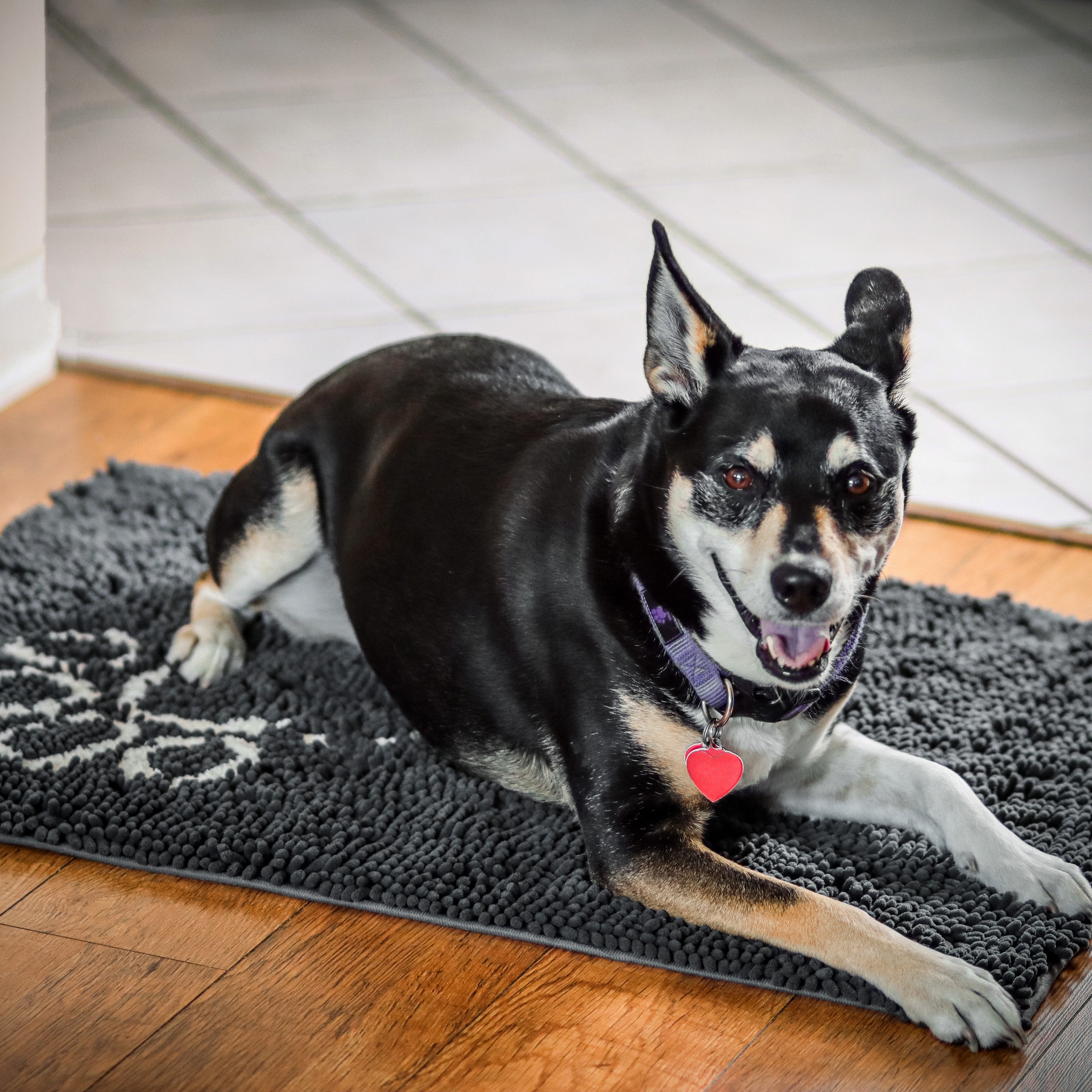 Dog non slip store mat