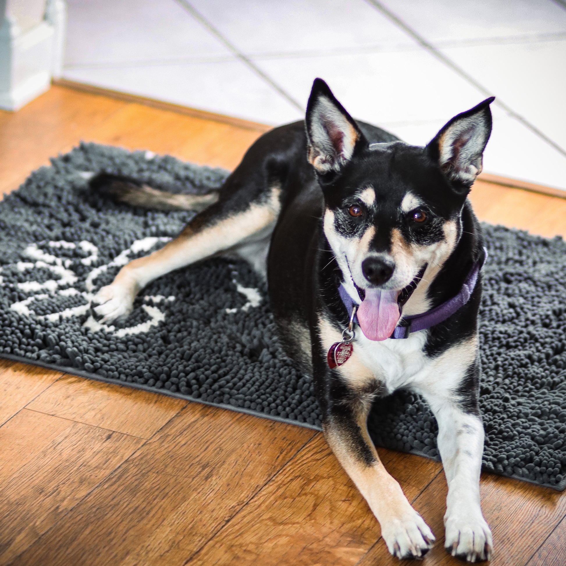 Dog Paw Print Skid-Resistant Floor Runner Mat