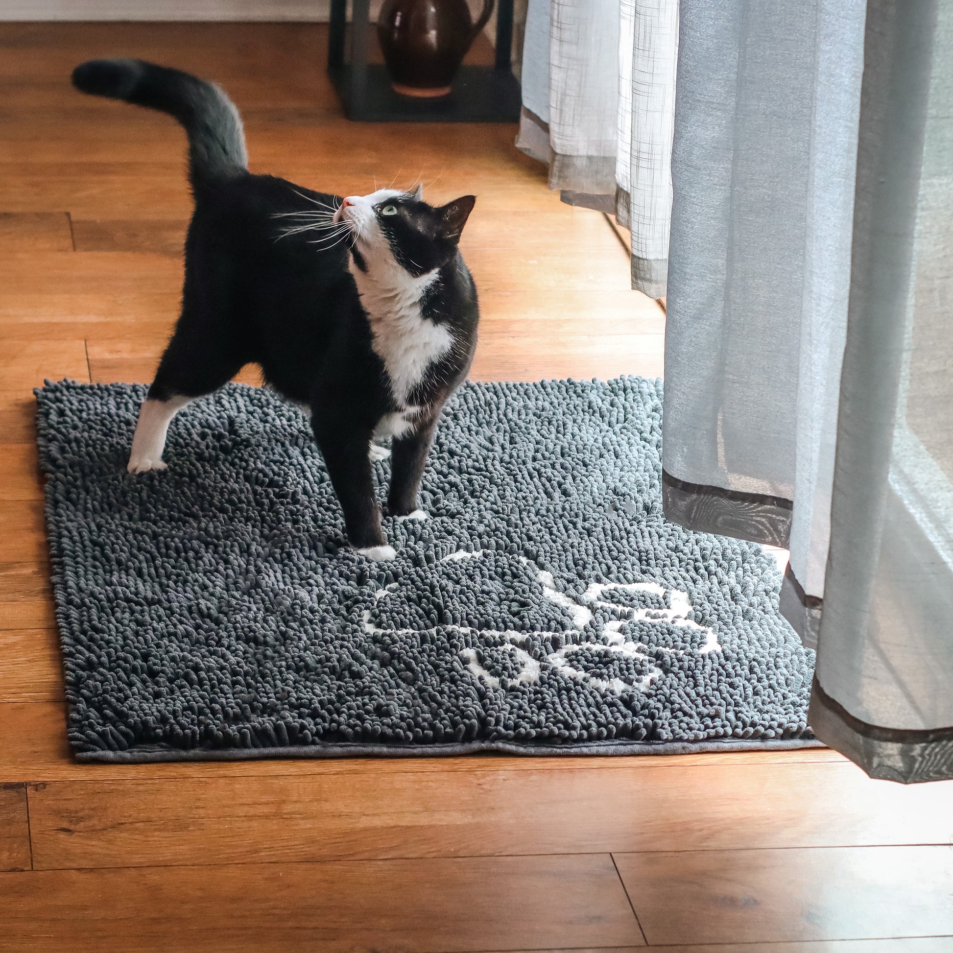Dundee Deco Paws Pet Mat Grey Black - 39 x 24, Waterproof Non-Slip Quick  Dry Rug Non-Absorbent Dirt Resistant Feeding Mat for Cats and Dogs 
