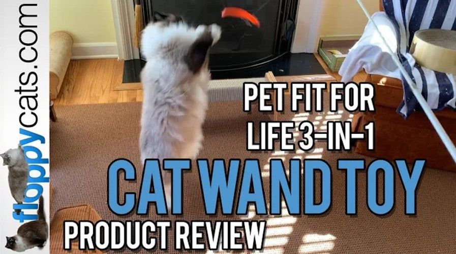 Load video: Floppy cats does an extensive review of this toy!