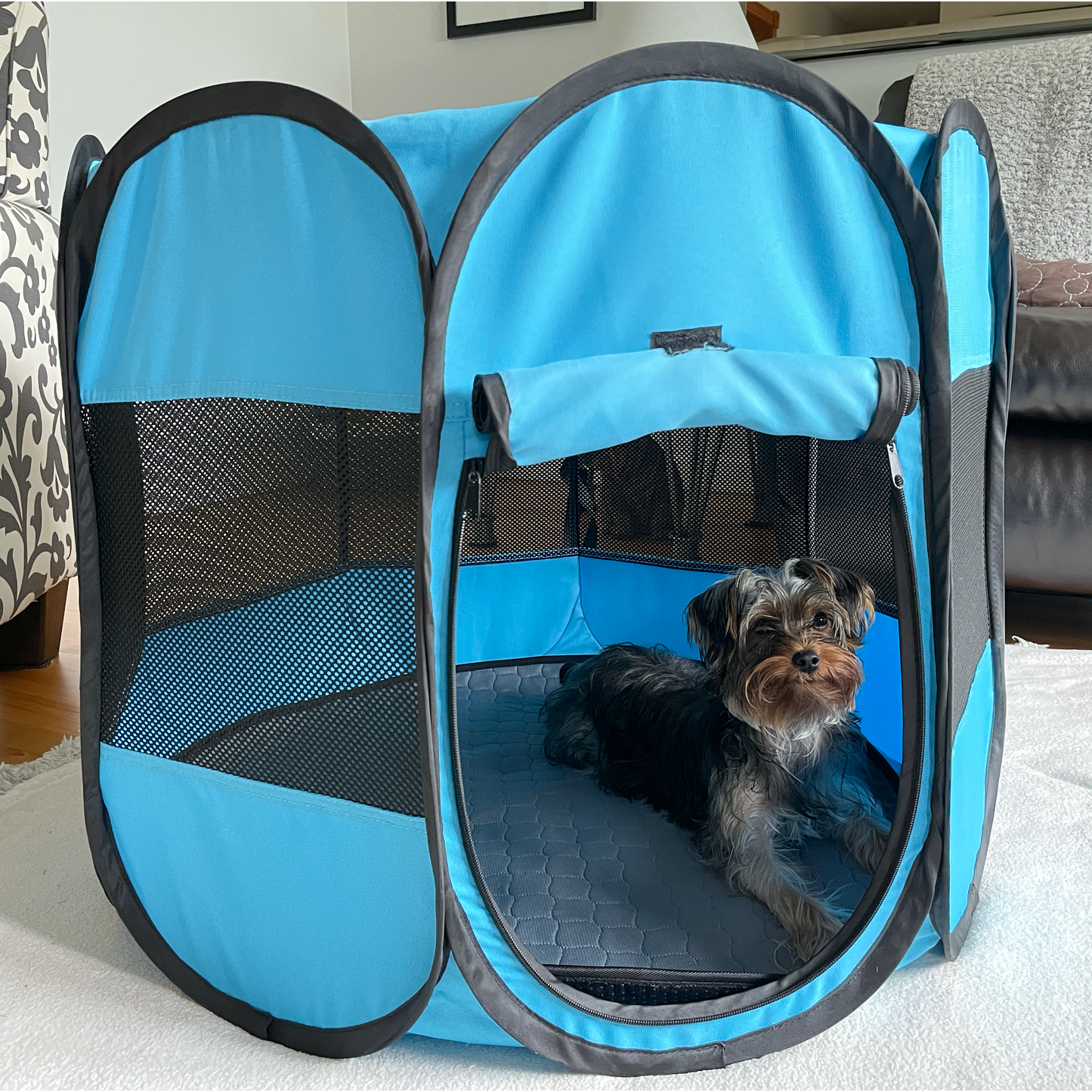 Dog/Cat Play Pen with Bonus Washable Pee Pad