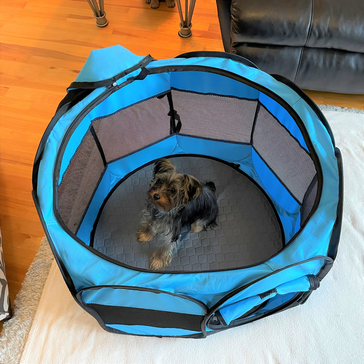 Dog/Cat Play Pen with Bonus Washable Pee Pad