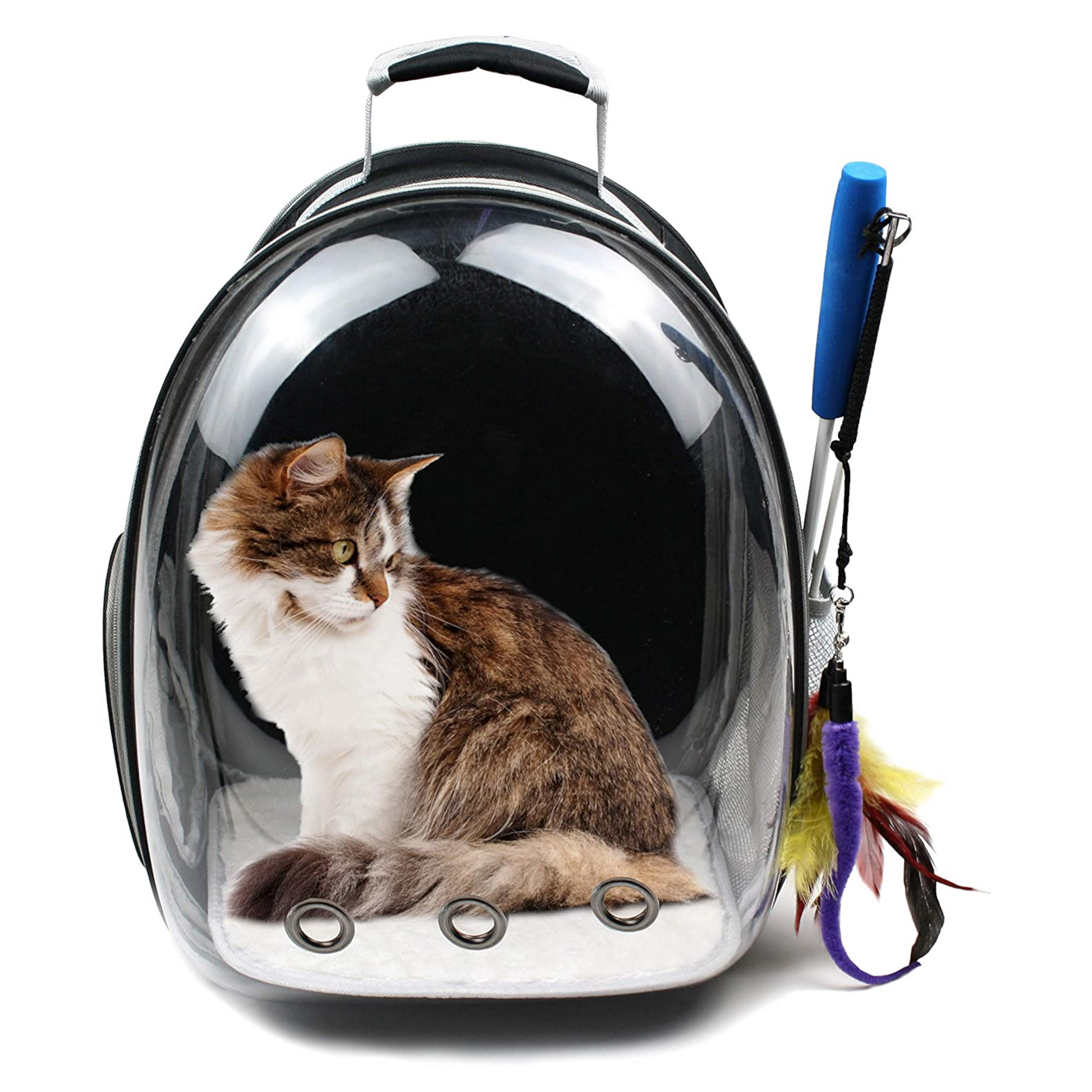 Bubble outlet cat carrier