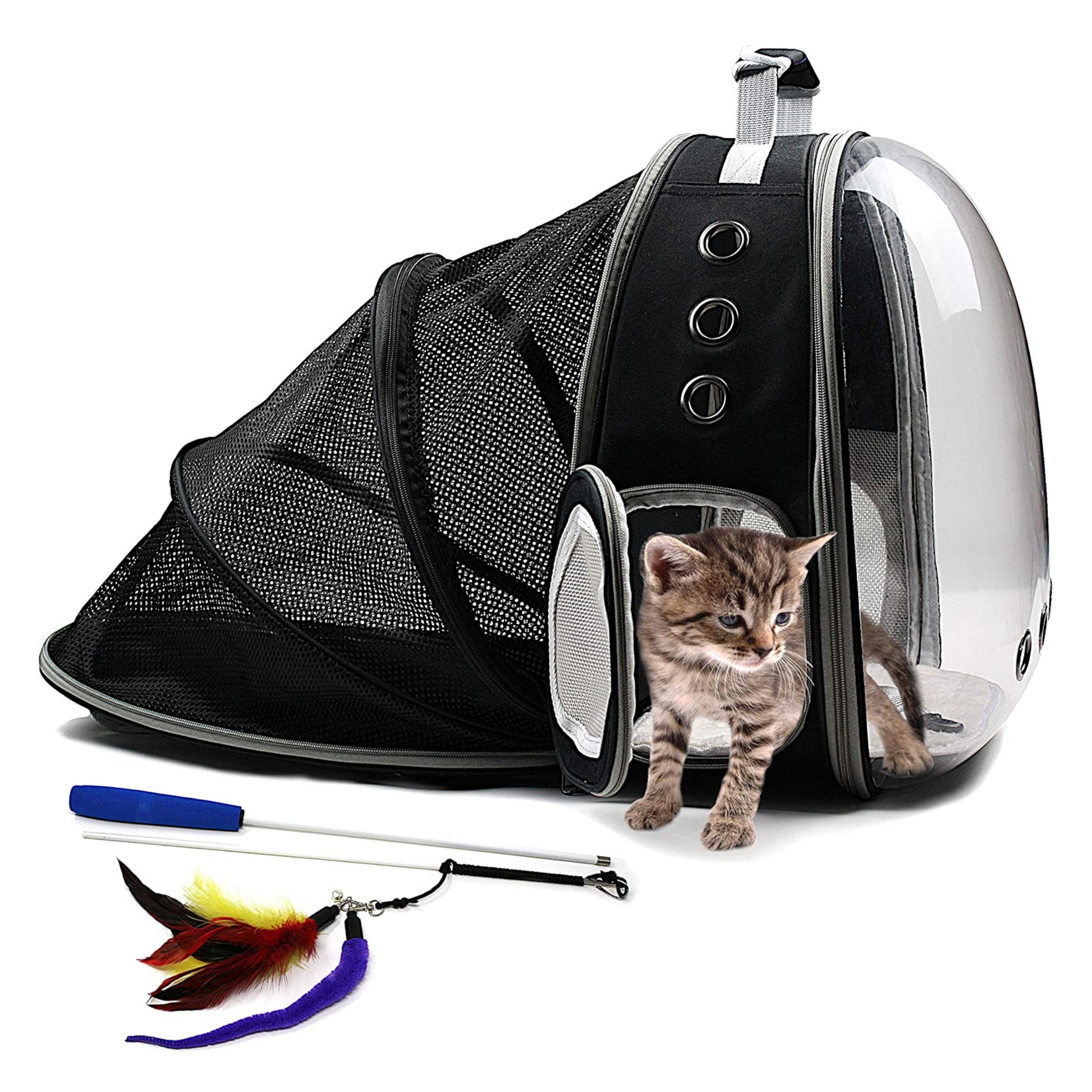 Cat backpack cheap outlet