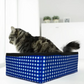 Foldable Cat Litter Box - Bonus Collapsible Bowl