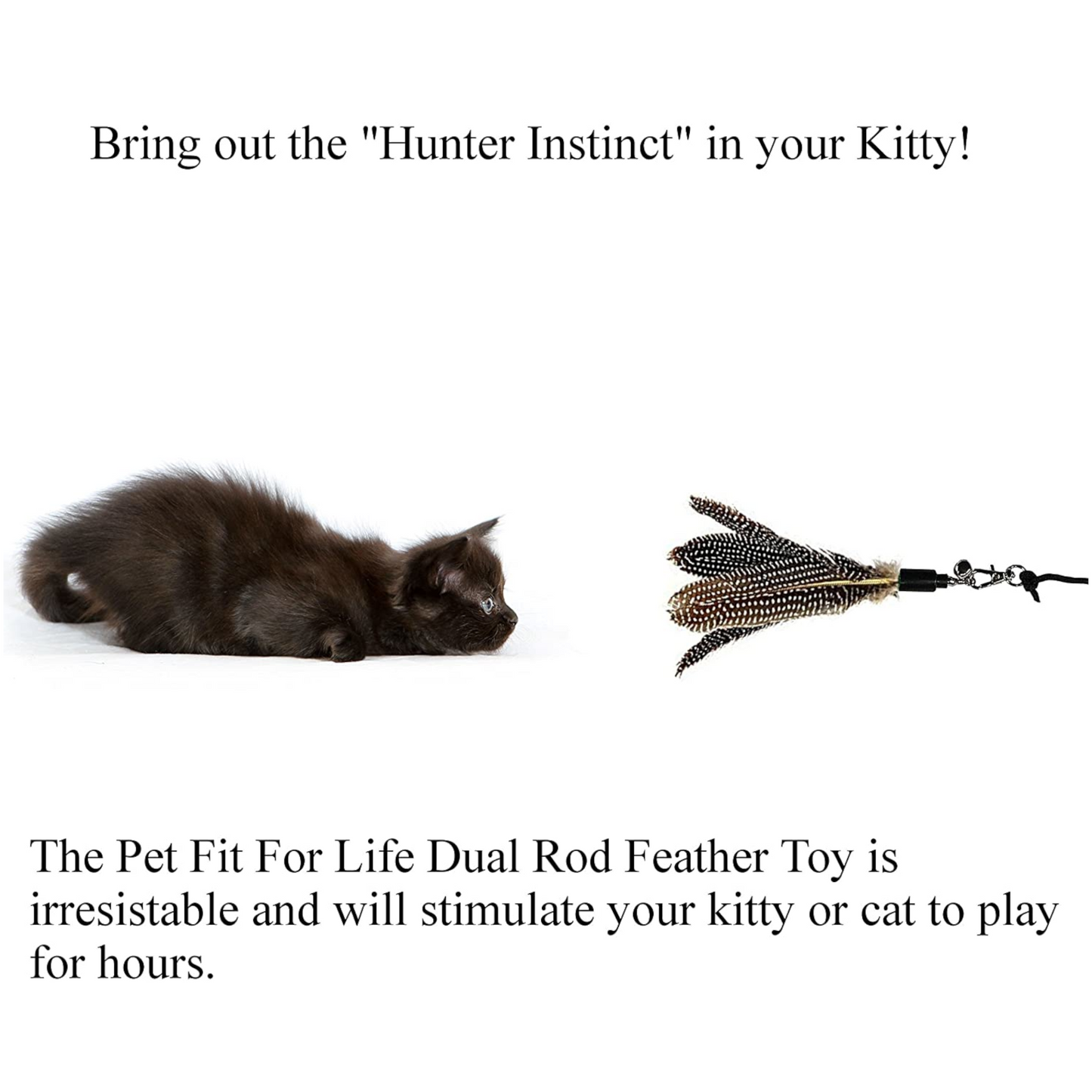 Cat Wand with 2 Feathers - Brown, Spotted