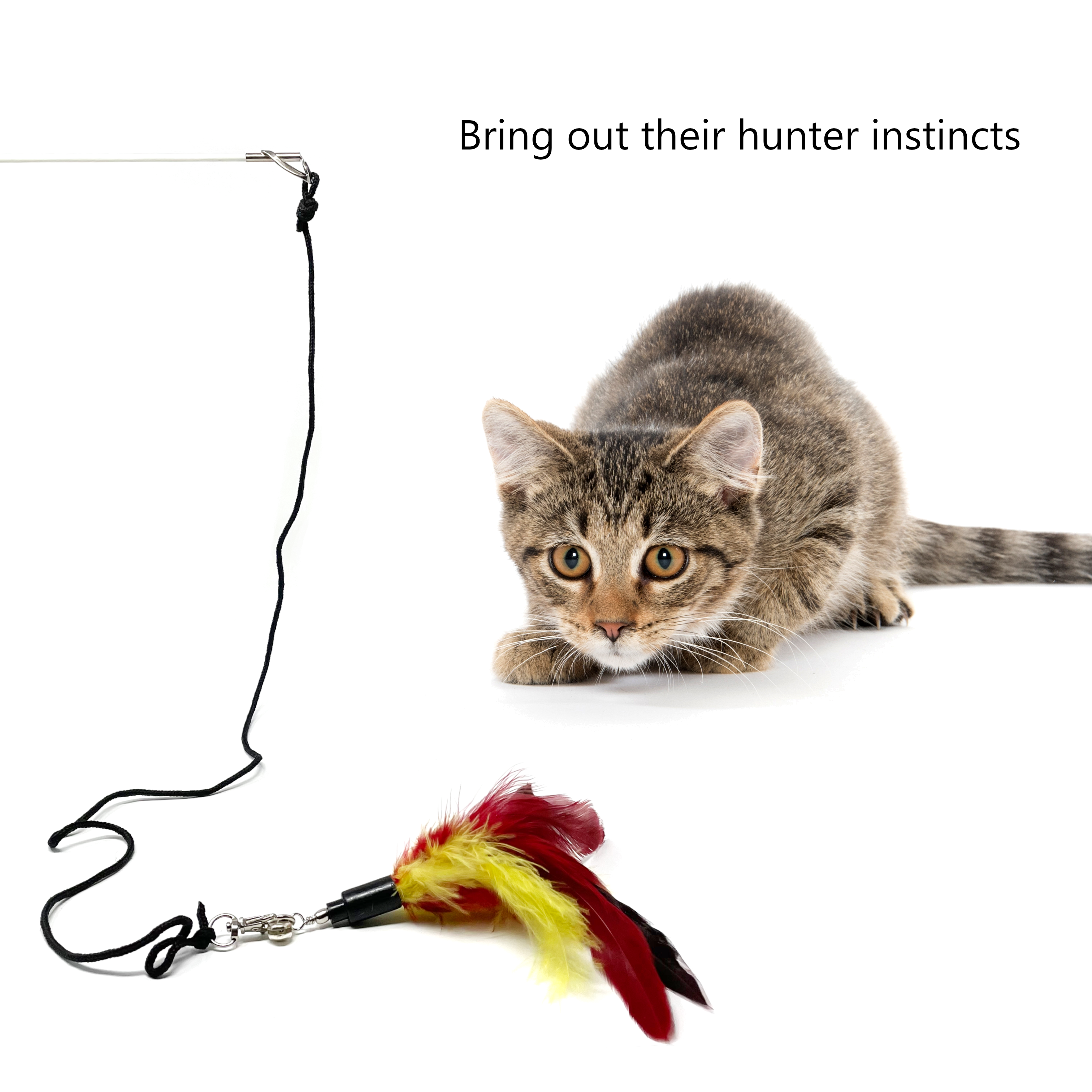Cat Wand with 4 Feathers and 1 Squiggly Worm