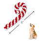 Dog Christmas Candy Cane Rope Chew Toy and DIY Picture Ornament