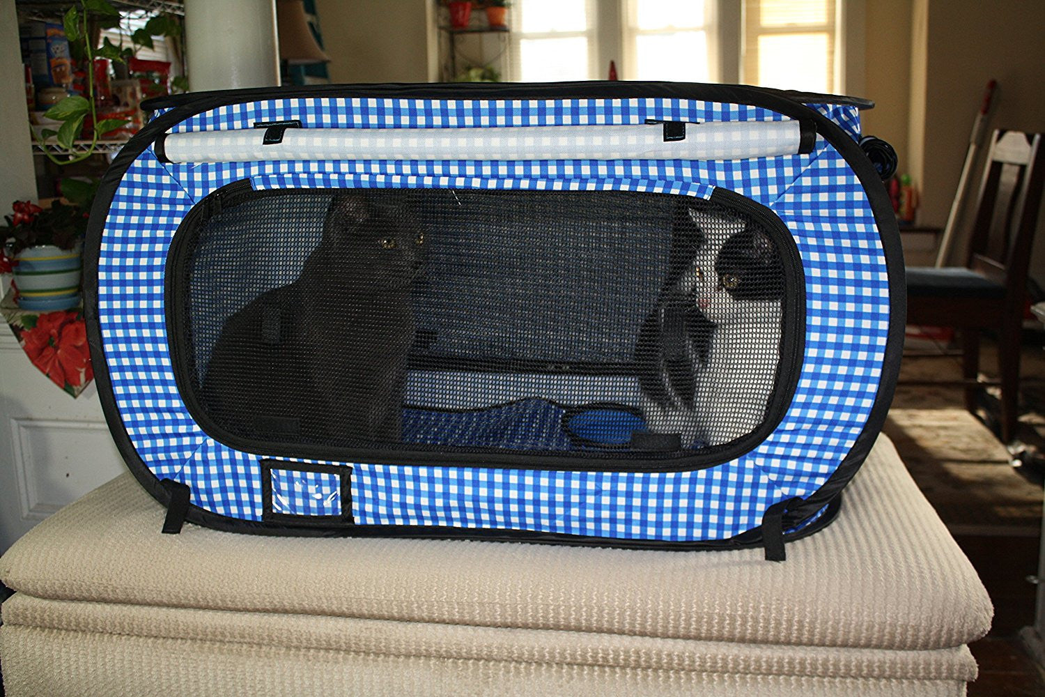 Cat carrier with built in clearance litter tray