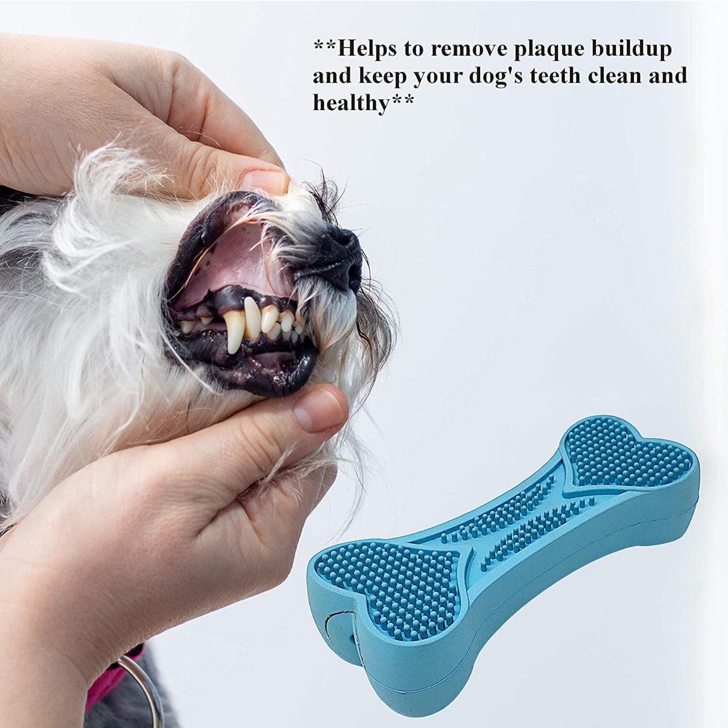 Dog Teeth-Cleaning Chew Toy With Squeaker