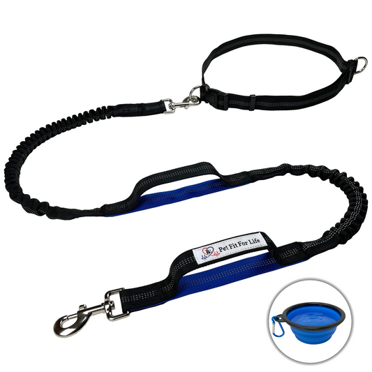 Hands Free Adjustable Bungee Dog Leash