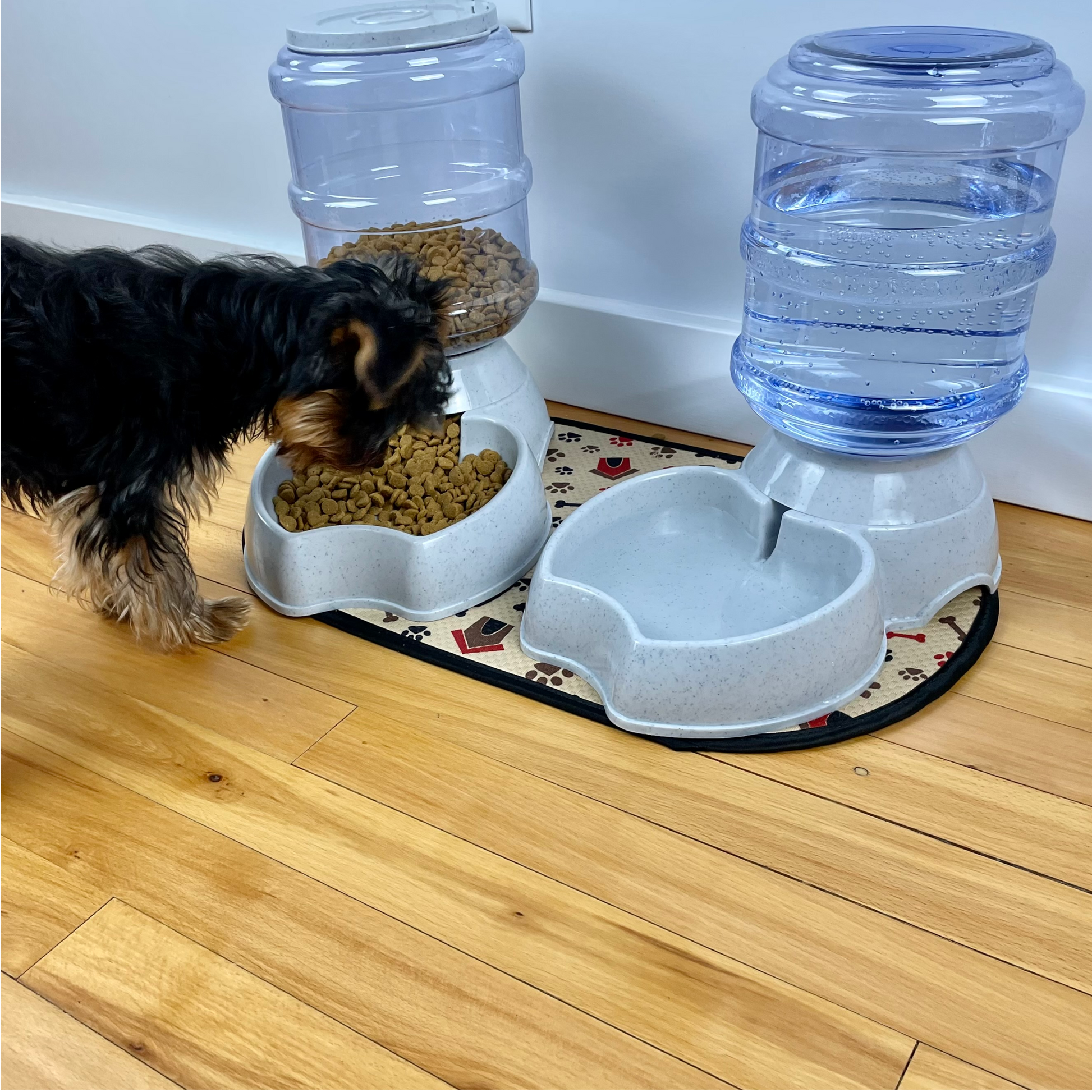 Pet fit for life water fountain dispenser 2025