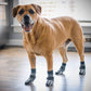 Dog Grip Socks - Medium