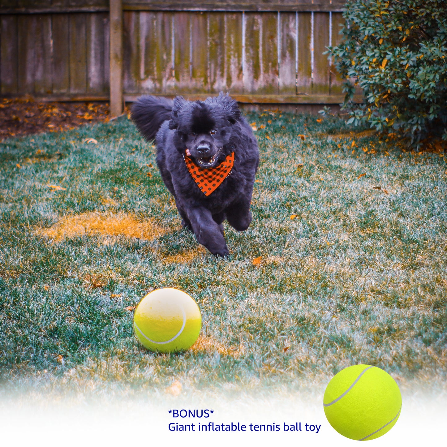 Hanging Bungee Dog Tug Toy - Bonus Giant Ball