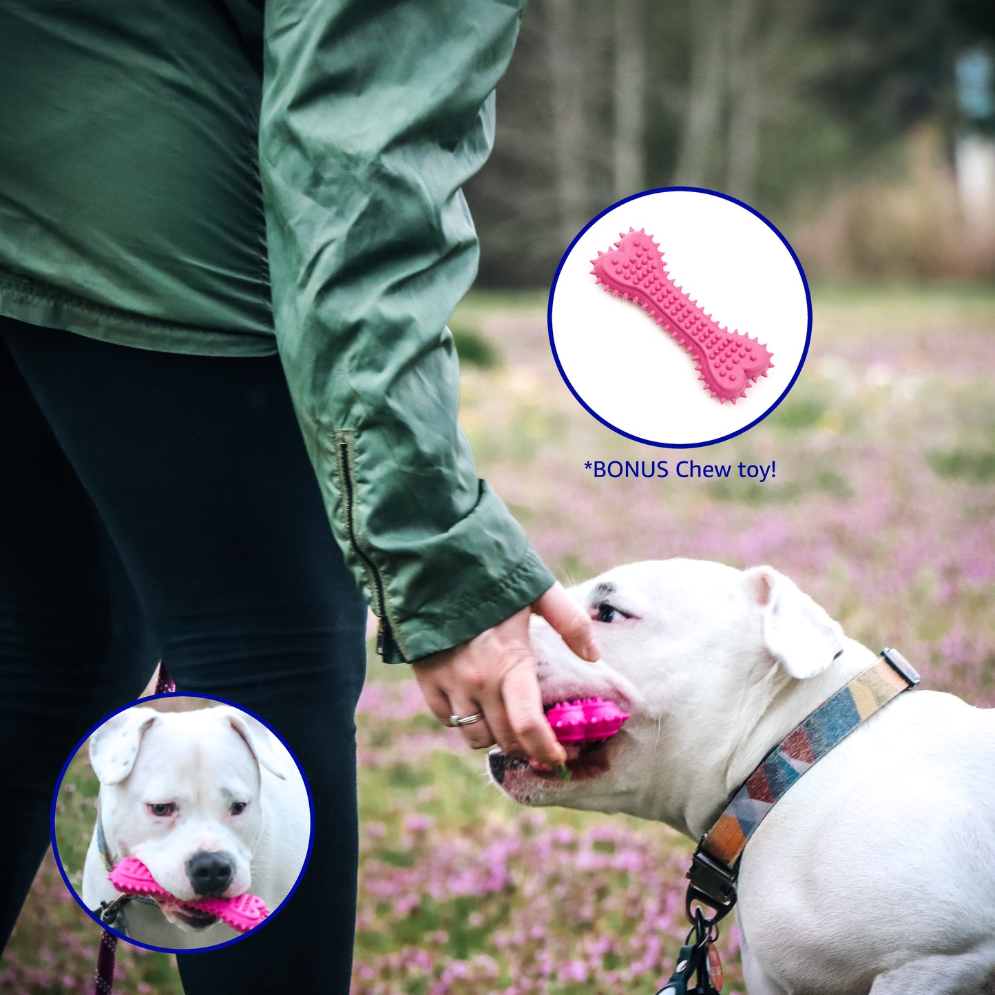 Waterproof Quilted Reversible Dog Jacket - 2 Colors, 2 Sizes