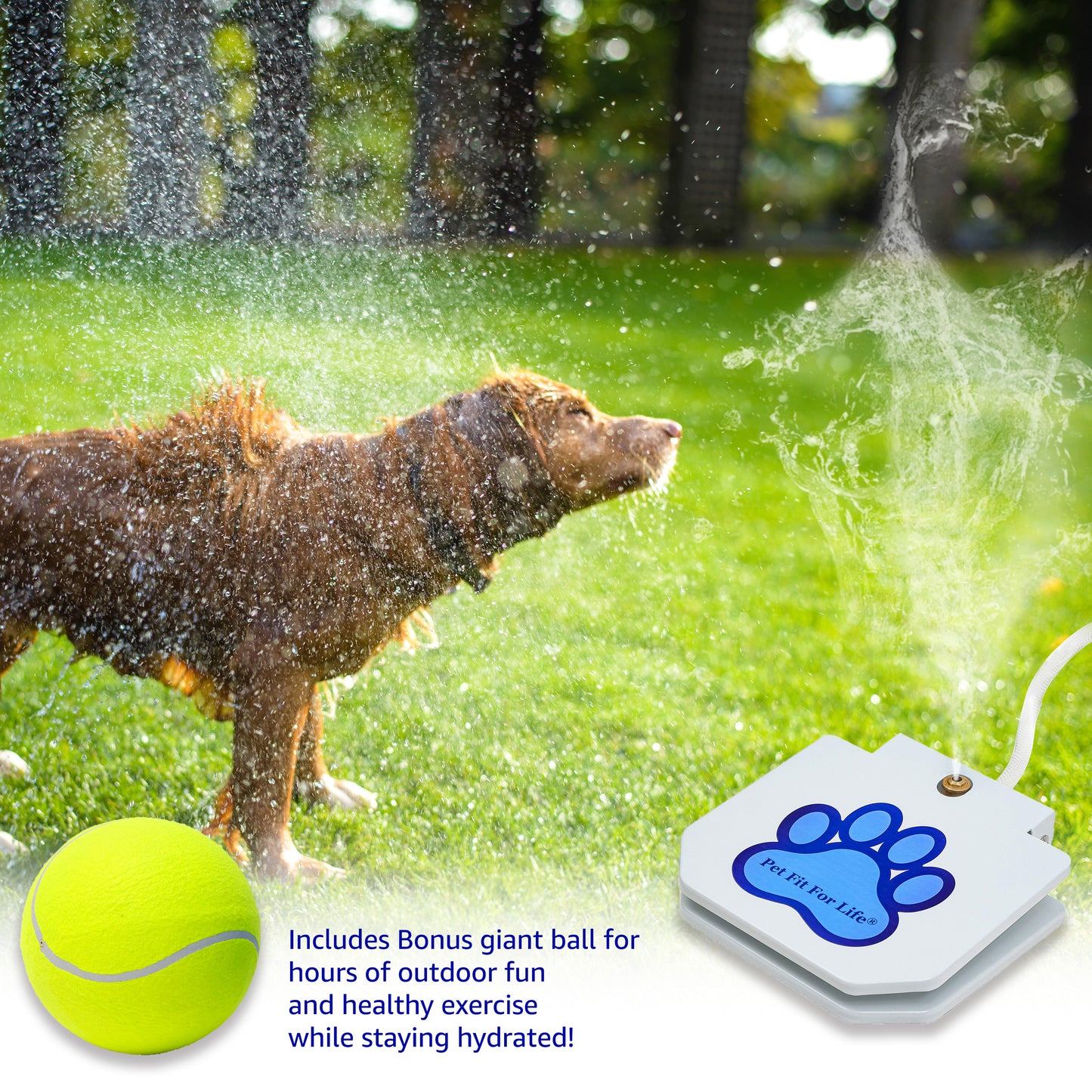 Dog Step Activated Water Sprinkler