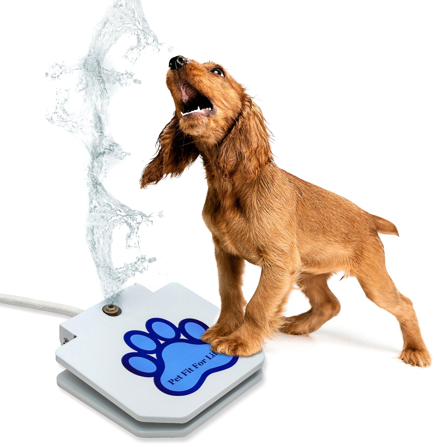 Dog Step Activated Water Sprinkler