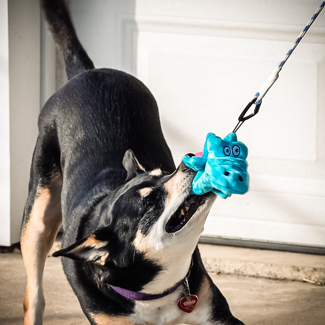 Alligator Dog Wand Toy