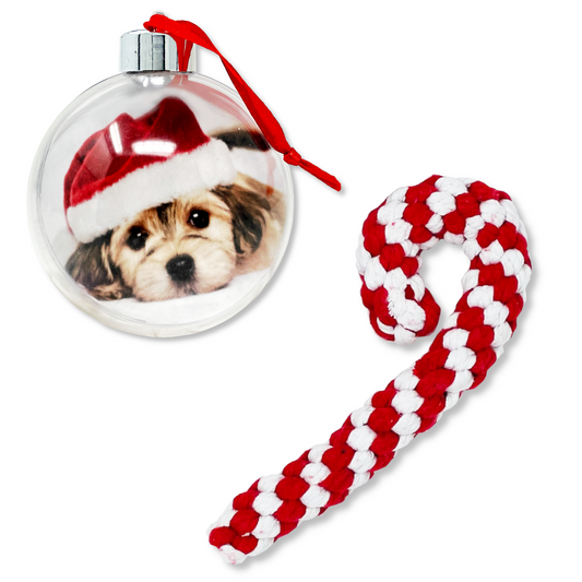 Dog Christmas Candy Cane Rope Chew Toy and DIY Picture Ornament