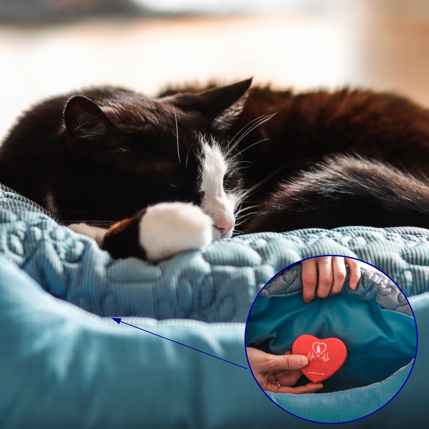 Rechargeable Heartbeat Simulator for Calming Anxious Pets