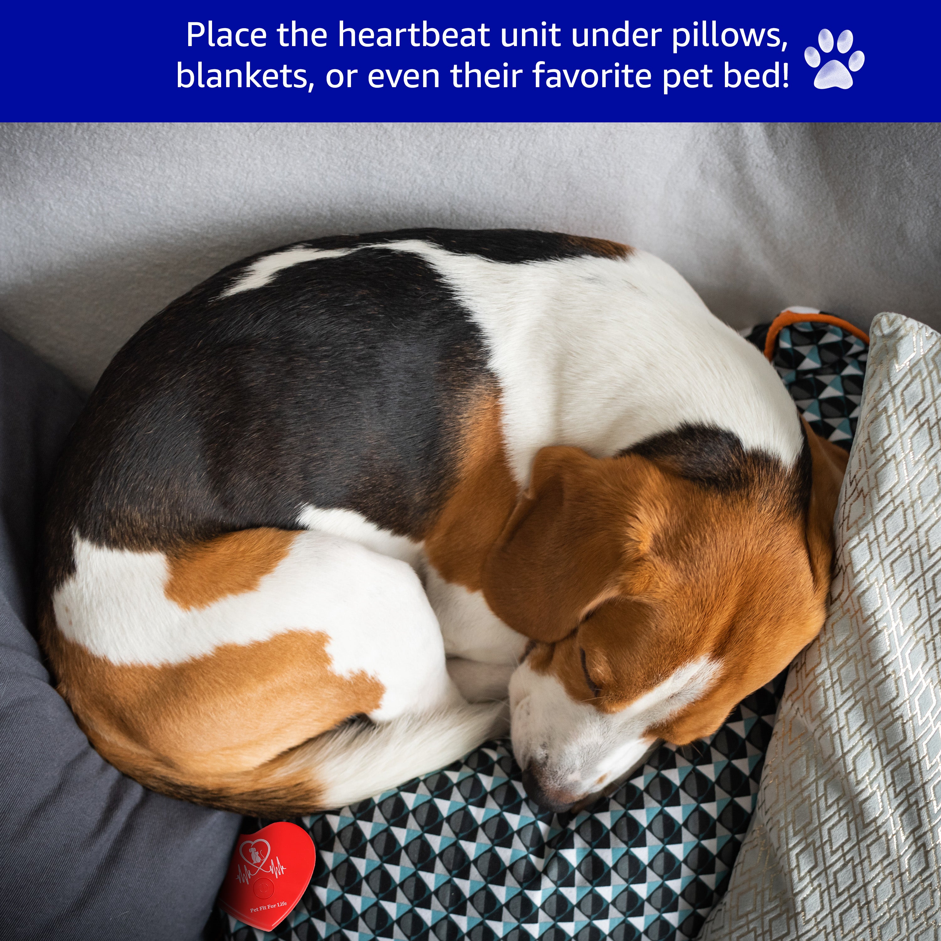 Rechargeable Heartbeat Simulator for Calming Anxious Pets Pet Fit For Life