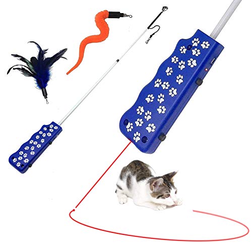 Dual LED Light Chaser and Feather/Worm Cat Wand