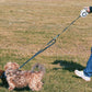 Dual Retractable Dog Leash with Rechargeable Light